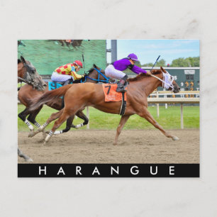 Harangue Postkarte