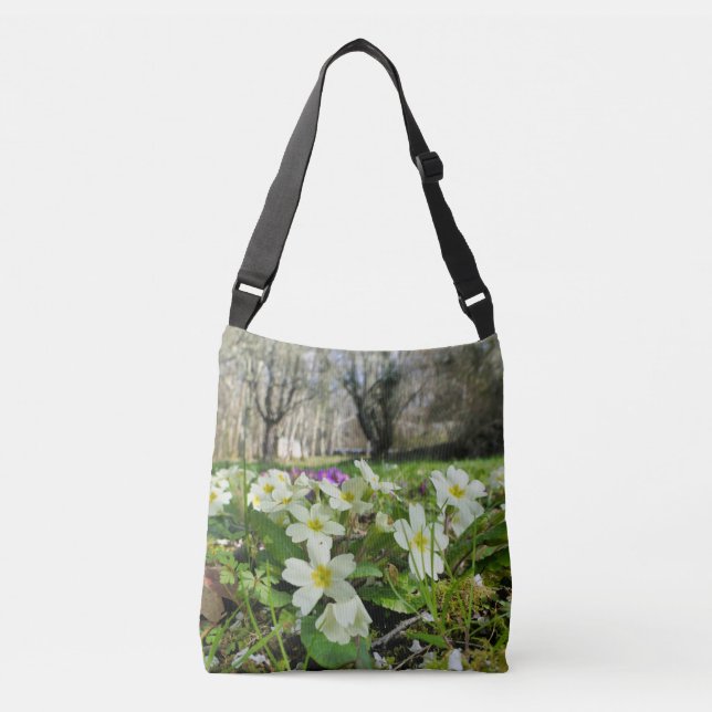 Harbinger de printemps partout sur le Sac fourre-t (Devant)