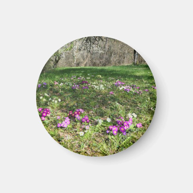 Harbinger of Spring Magnet (Vorne)