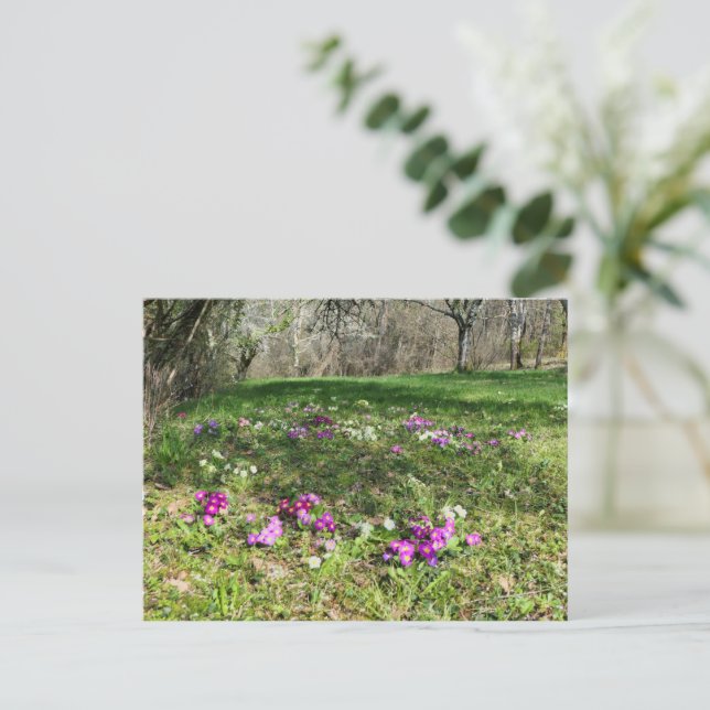 Harbinger of Spring Postkarte (Stehend Vorderseite)