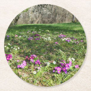 Harbinger of Spring Runder Pappuntersetzer