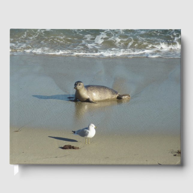 Harbour Siegel in La Jolla California Gästebuch (Vorderseite)