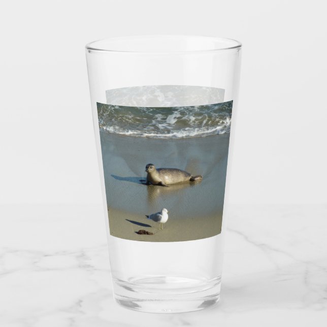 Harbour Siegel in La Jolla California Glas (Vorderseite)