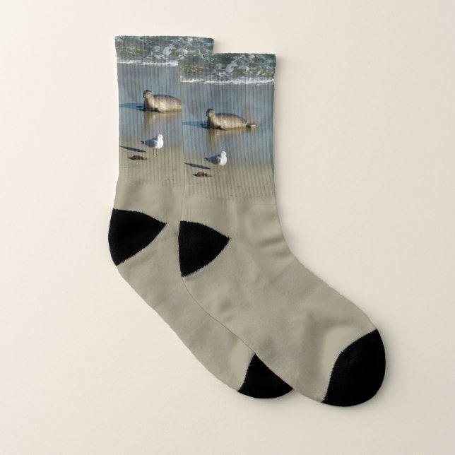 Harbour Siegel in La Jolla California Socken (Paar)