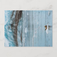 Harbour Siegel Kenai Fjords Alaska