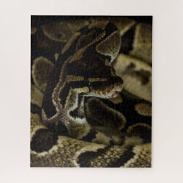 Hard Snake Puzzle