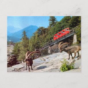 Harder Kulm Seilbahn, Interlaken Postkarte