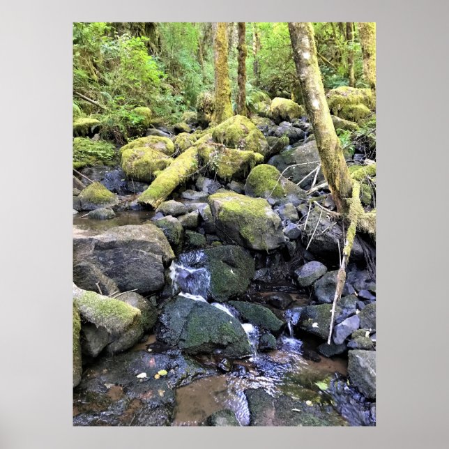Hardy Creek, Oregon Poster (Vorne)