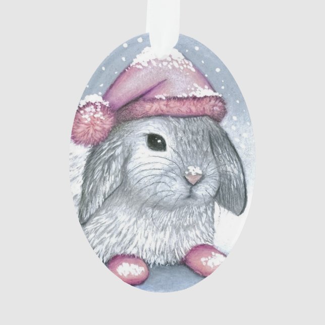 Hare 14 rabbit (dos)