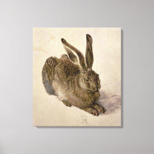 Hare, 1502 leinwanddruck (Vorderseite)