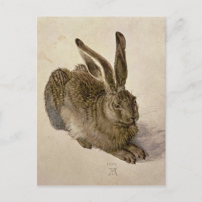 Hare, 1502 postkarte (Vorderseite)