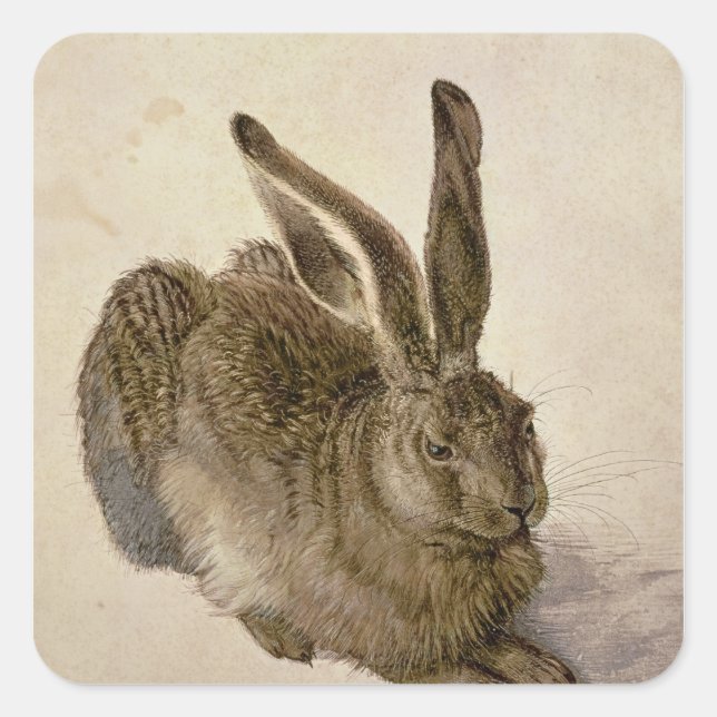 Hare, 1502 quadratischer aufkleber (Vorderseite)