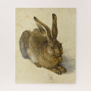 Hare by Albrecht Durer