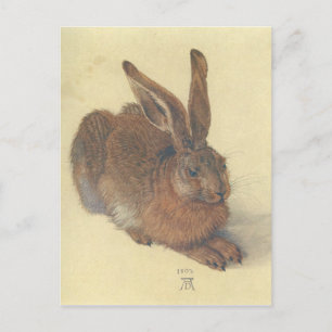 Hare by Albrecht Durer Postkarte