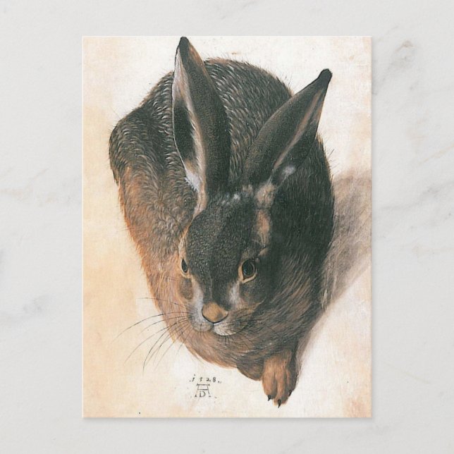 Hare by Albrecht Durer Postkarte (Vorderseite)