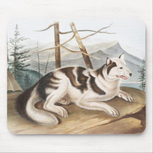 Hare Indian Dog (Canis familiaris) Illustration Mousepad