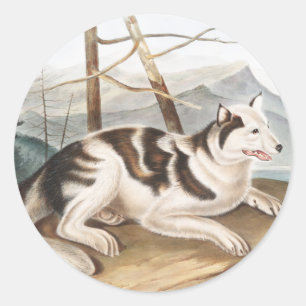 Hare Indian Dog (Canis familiaris) Illustration Runder Aufkleber