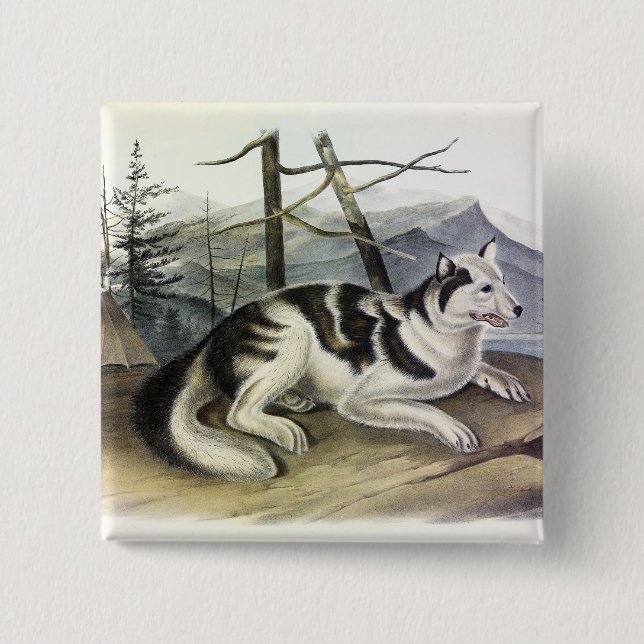 Hare-Indian Dog (Mackenzie River Dog) von Audubon Button (Vorderseite)