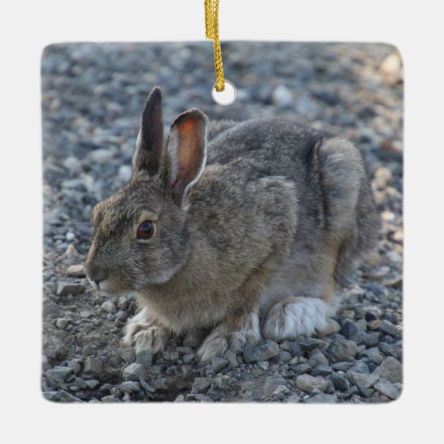 Hare Ornament (Vorderseite)