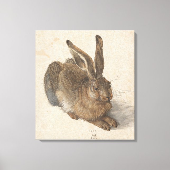 Hare (von Albrecht Dürer) Leinwanddruck (Vorderseite)