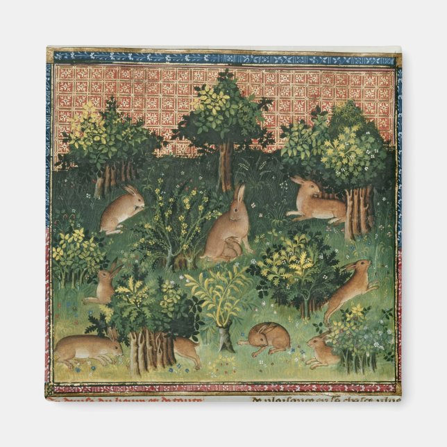 Hares in einem Wald Magnet (Vorne)
