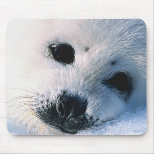 Harfen-Siegelwelpe 2 Mousepad