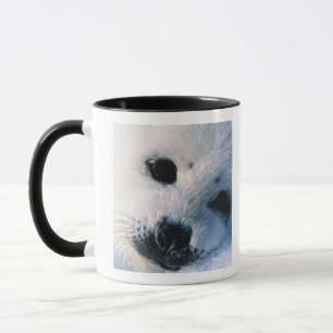 Harfen-Siegelwelpe 2 Tasse
