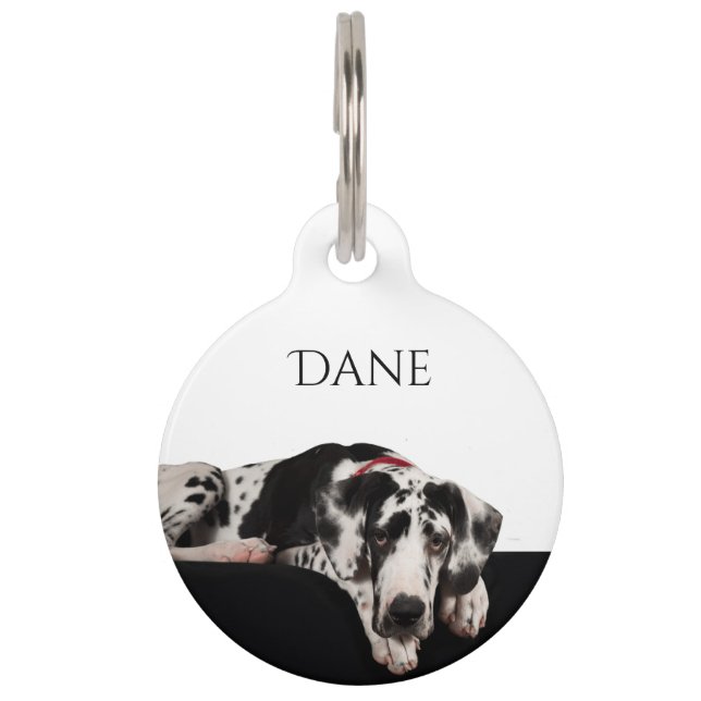 Harlekin-Deutsche Dogge Haustiermarke (Vorderseite)