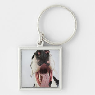 Harlekin-Deutsche Dogge mit offenem Mund, Schlüsselanhänger