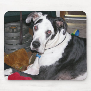 Harlekin-Deutsche Dogge Mousepad