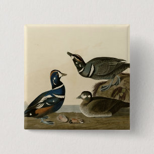Harlekin-Ente Button
