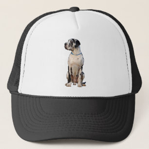 Harlekin Great Dane Truckerkappe