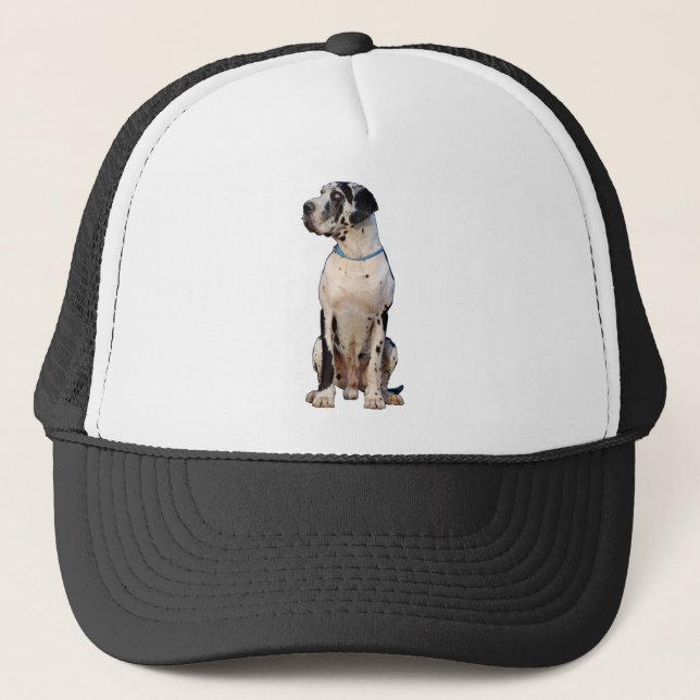 Harlekin Great Dane Truckerkappe (Vorderseite)