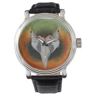 Harlekin Macawuhr Armbanduhr