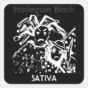 Harlekin-schwarzes Sativa Quadratischer Aufkleber