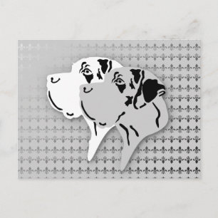 Harlekin und Merle Dane Heads Postkarte