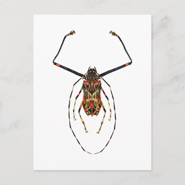 Harlequin Beetle Postkarte (Vorderseite)