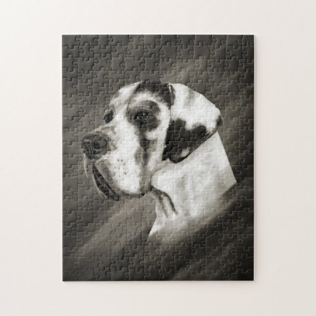 Harlequin Great Dane Portrait (Vertikal)