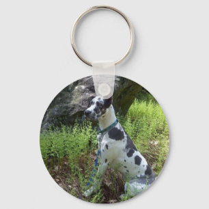 Harlequin Great Dane Schlüsselanhänger
