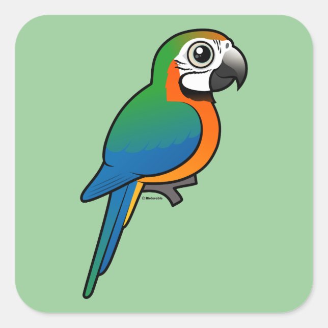Harlequin Macaw Quadratischer Aufkleber (Vorderseite)