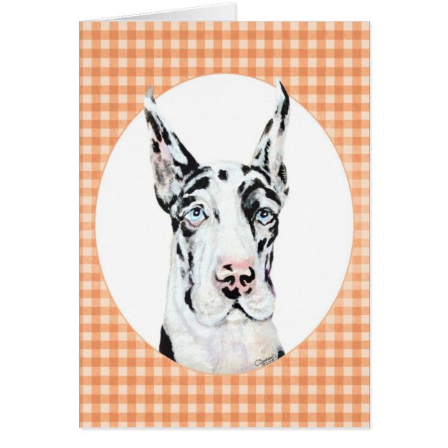 Harlequin Pup Peach (Vorne)