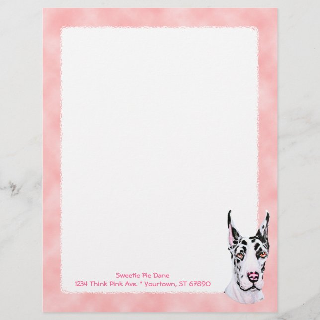 Harlequin Pup Pink Karo (Vorderseite)