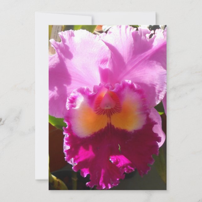 Harlinde (Vorderseite)