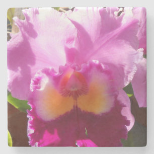 Harlinde Steinuntersetzer