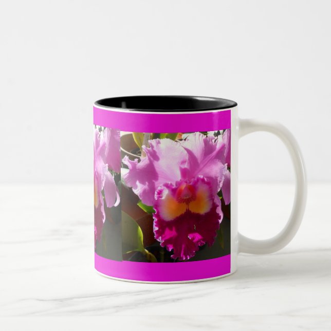 Harlinde Zweifarbige Tasse (Rechts)
