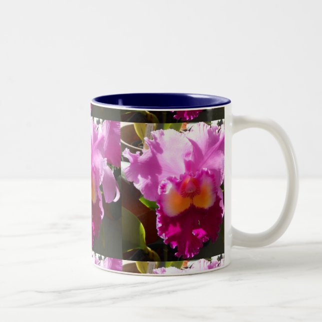Harlinde Zweifarbige Tasse (Rechts)