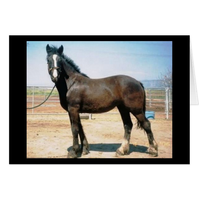 Harmonie (Devant horizontal)