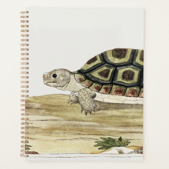 Harmonie tortue et tortue : Notes post-it Jigsaw (Devant)