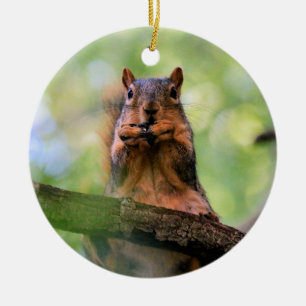 Harmonika-Eichhörnchen Keramik Ornament