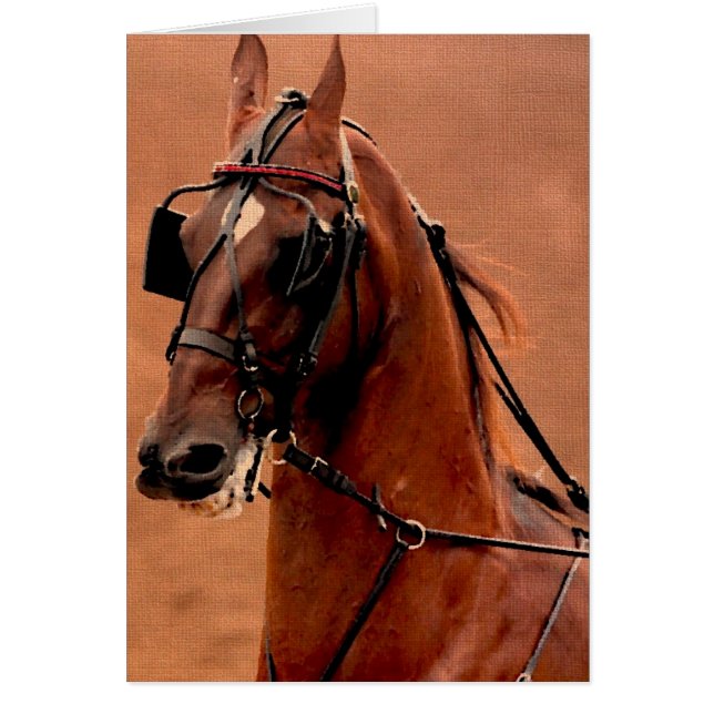 Harnais de plaisance Saddlebred Art numérique (Devant)
